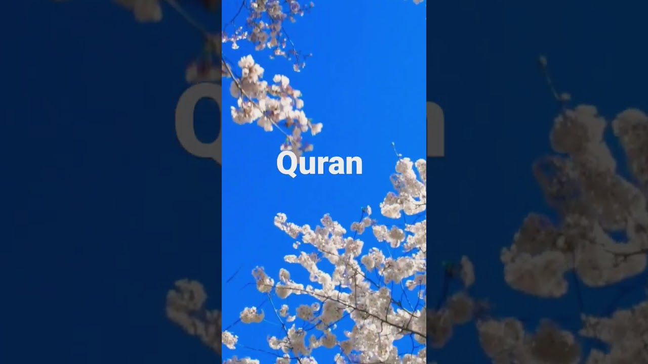 Surah Fatir Ayat 2 surah-fatir-ayat-2