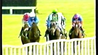 1999 - Curragh - Irish Champion Stakes - Daylami 1999 - Curragh - Irish Champion Stakes - Daylami