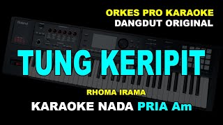 Download lagu TUNG KERIPIT KARAOKE NADA PRIA COWOK RHOMA IRAMA D... mp3