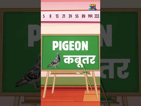 Learn Bird Names with Hindi Pronunciation & Spelling | पक्षियों के नाम | Part 3 video thumbnail