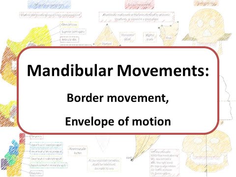 Mandibular movements: Border movements and Envelope of Motion