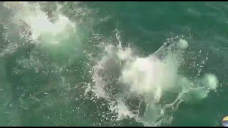 Ibiza Sea Party 12 7 2012   fiestas en barco en ibiza   ibiza boat party