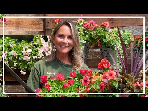 download lagu mp3 mp4 Vinca Lavender, download lagu Vinca Lavender gratis, unduh video klip Vinca Lavender