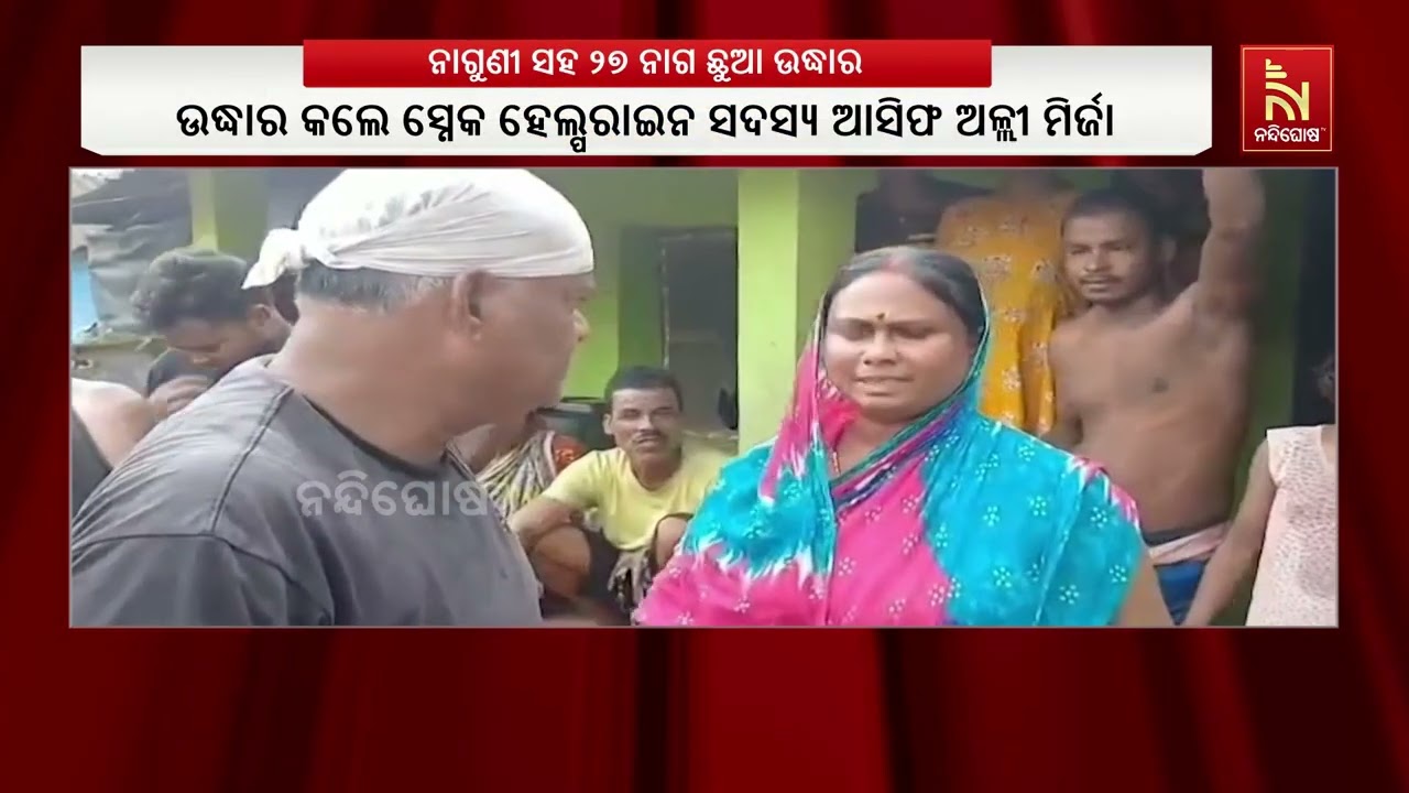 ଭଦ୍ରକ ଭଟପୁର ଗାଁରୁ ମାଆ ନାଗୁଣୀ ସହ ୨୭ ନାଗ ଛୁଆ ଉଦ୍ଧାର | Nandigho