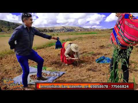 Yocallata  prov. Camacho