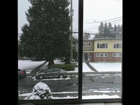 2/14 2021 窗外雪景