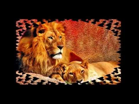 O NÁS DVOU - ABOUT US TWO