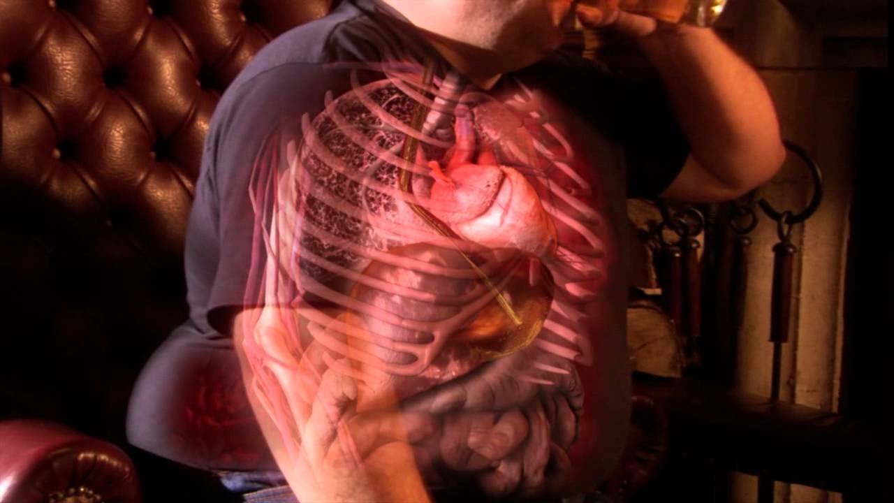 Watch Viaje al Interior del Cuerpo Humano | Natgeo Documentales Now Viaje al Interior del Cuerpo Humano | Natgeo Documentales