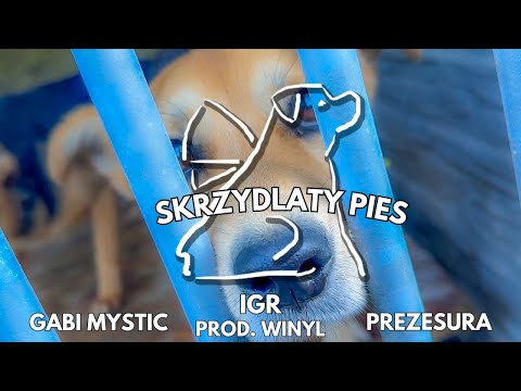 IGR x WinyL - Skrzydlaty Pies ft. Prezesura, Gabi Mystic, SP nr.17 (OFFICIAL VIDEO)