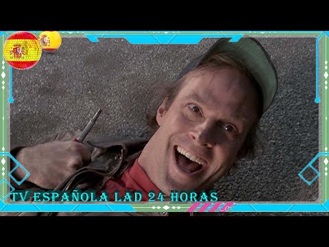 Qu'est-il arrivé à Dwight Schultz après la fin de L'Agence tous risques ?