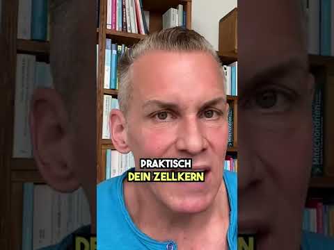 So wichtig sind EPA und DHA!