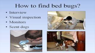 Bed Bug Training for Building Managers and Staff