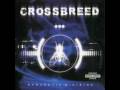 Crossbreed - Stem 