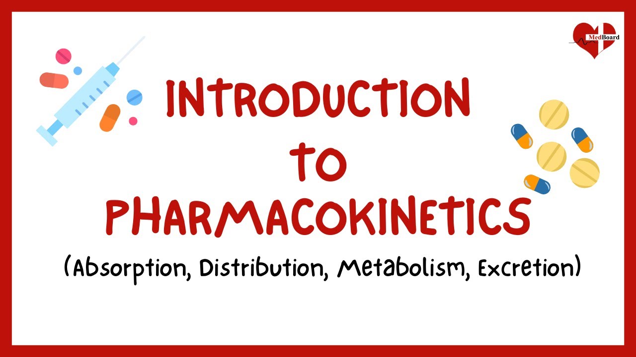 What is Pharmacokinetics? | The ADME Process | Introduction to Pharmacokinetics