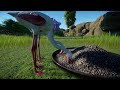Greater Flamingo Planet Zoo Animals