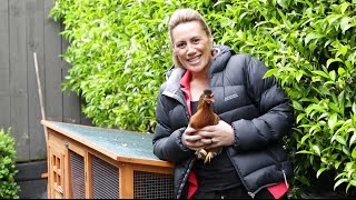 Youtube thumbnail for Keeping Chickens in the City