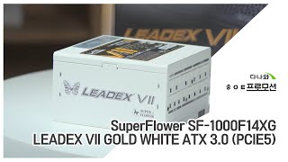 SuperFlower SF-1000F14XG LEADEX VII GOLD WHITE ATX3.0_동영상_이미지
