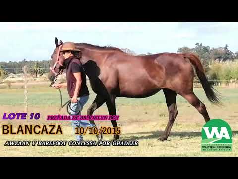 Lote BLANCAZA