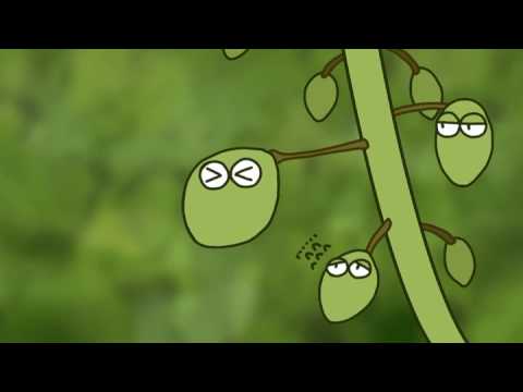 アニメーションコース 学生作品例 03