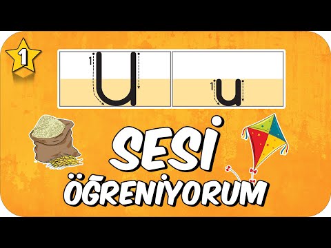 U Sesi Öğretimi 🪁 Okunuşu ve Yazılışı 🐞 1.Sınıf #2025