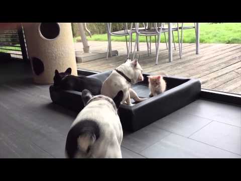 2015 03 29 13 33 57 1