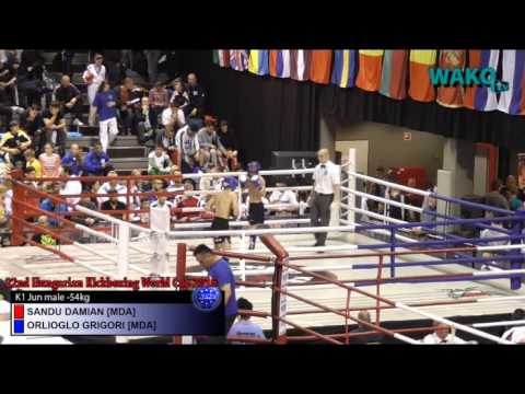 WorldCup Hungary 2016 - K1 jun male -54kg - Sandu Damian [MDA] v. Orlioglo Grigori [MDA]