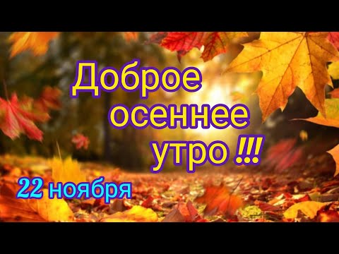 Доброе утро ! Красивая открытка . 22 ноября