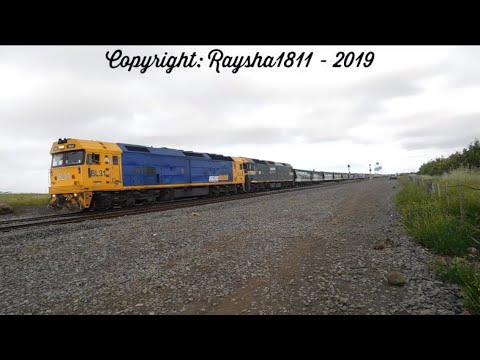 BL31-G523 - Gheringhap