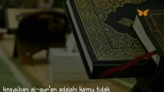 Download lagu STORY WA | Terbaru, Al Qur'an sedih mp3