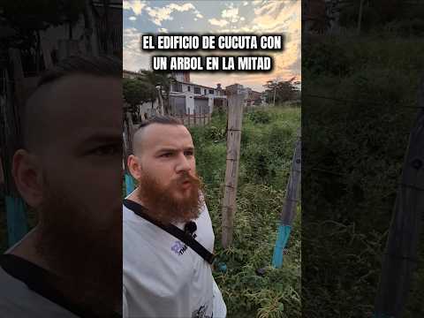 El EDIFICIO de cucuta con un ARBOL en la MITAD #nortedesantander #cucuta