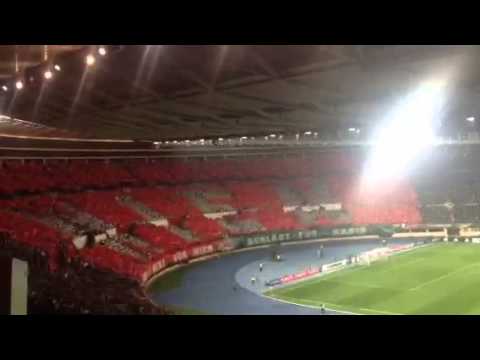 Rapid vs Viktoria Pilsen Choreo