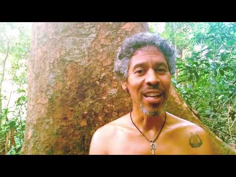 Mãe Da Pureza video