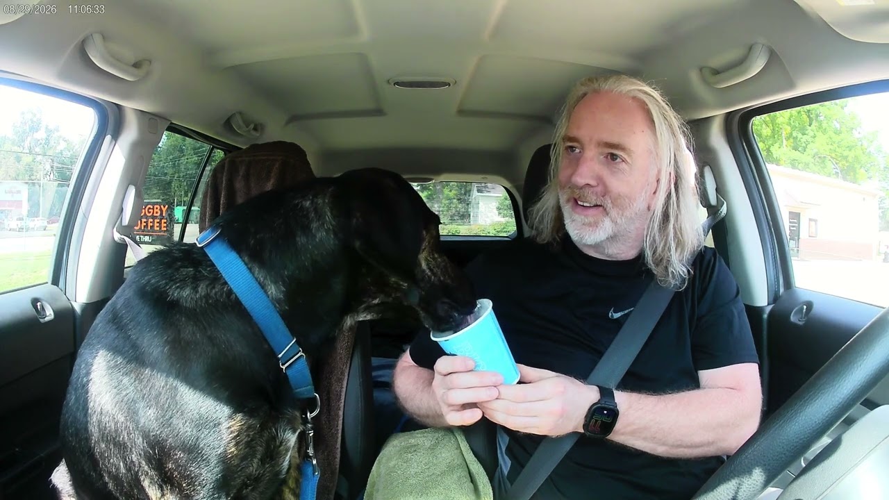 Enlarge Marley, a ADOPTABLE mixed breed in Quincy, MI video 3/3