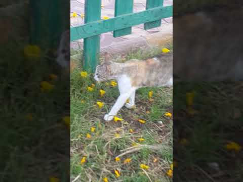 نوووووونووووووو 🤗🤗🤗🤗