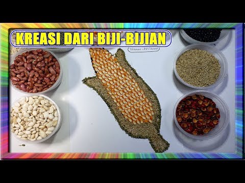 50 Cara Membuat Kolase Dari Biji Bijian Gambar Kupu Kupu Terbaru