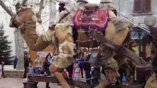 preview picture of video 'Quel chameau!! )  au marché de Noël - ville de la Garde (83)'