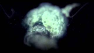 Isis - Holy Tears (Subtitulado)