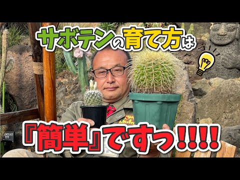 サボテンの繁殖: これが仕組みです トピックス