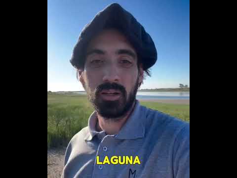 Intendente de Viamonte solicita apoyo provincial #shorts #cordoba