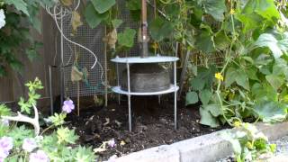 Orgone energy effect on clouds, sky and garden.