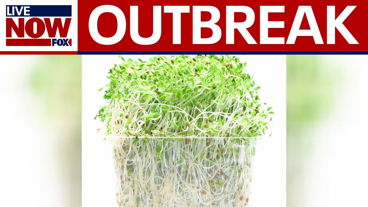 CDC: E. coli, Salmonella outbreak linked to alfalfa sprouts