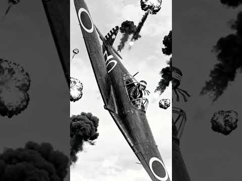 The Weapon That Made Kamikaze Pilots Helpless #history #americansoldier #ww2