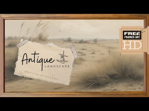 Free TV Wallpaper I Wild Dry Grass I Summer Landscape I No Sound