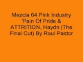 Pink Industry 'Pain Of Pride'  & ATTRITION, Haydn (The Final Cut)