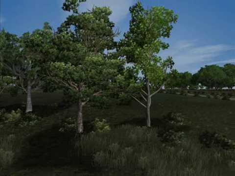 v1.31 Beta- Effects & Terrain Objects Test