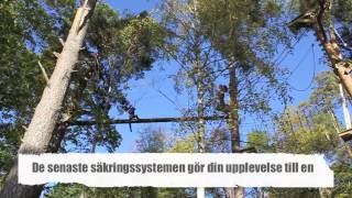 preview picture of video 'Klätterapa eller trädkramare? - Höghöjdsbanan vid Gimo Herrgård'