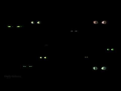 Simply Spooky Halloween Trick-or-Treat Door Music Sound Mix Ambience