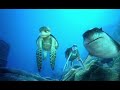 Summey S Adventures