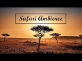 SAFARI AMBIENCE | Background music in the wilderness