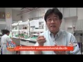 ครั้งแรกของโลก พบสารเซซามินในงาดำย